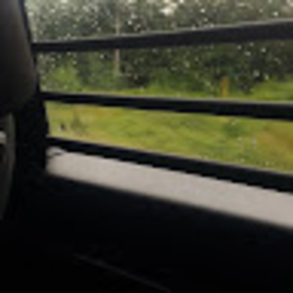 evajwillis_